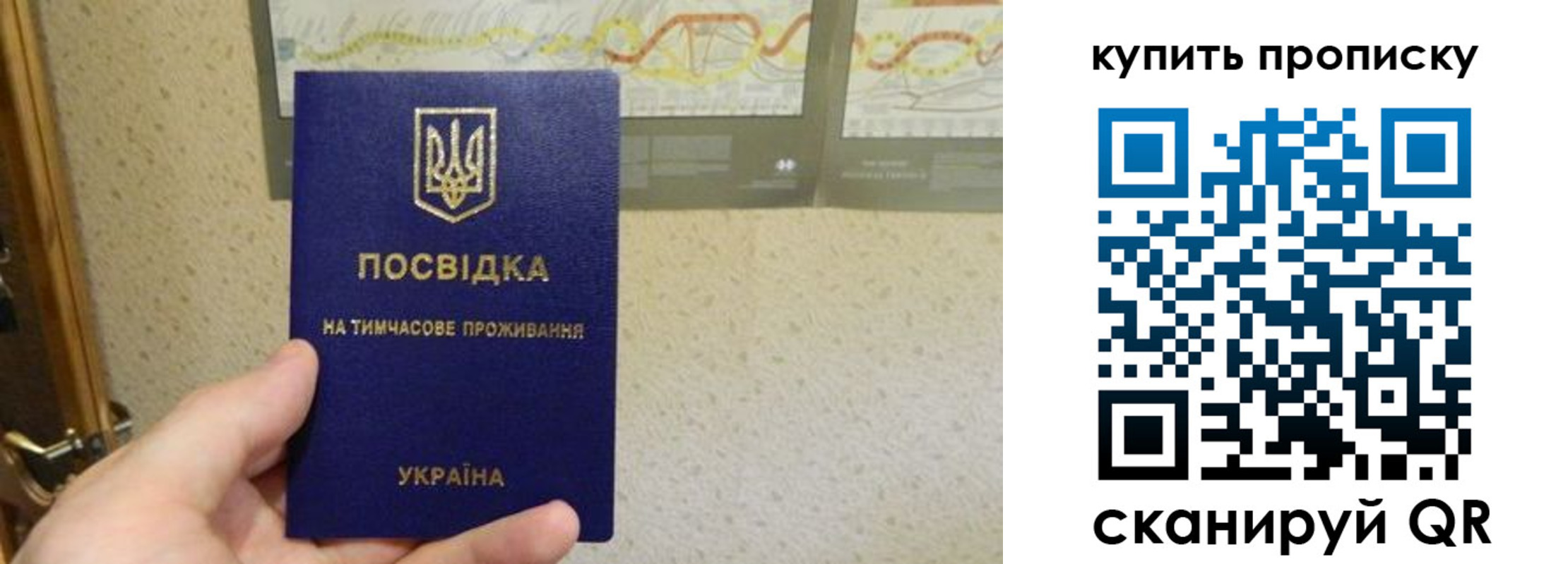 временная регистрация поиск в Моршанске